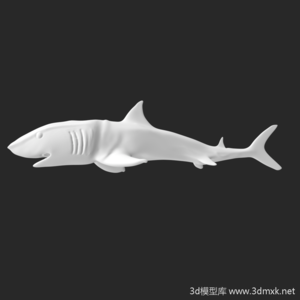 鲨鱼大白鲨3d模型下载