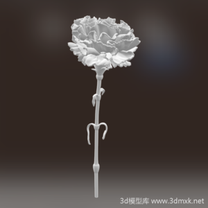 植物康乃馨花朵3d打印模型素材下载
